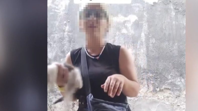 Sokak Kedilerine İğne Yapan Kadına Büyük Tepki
