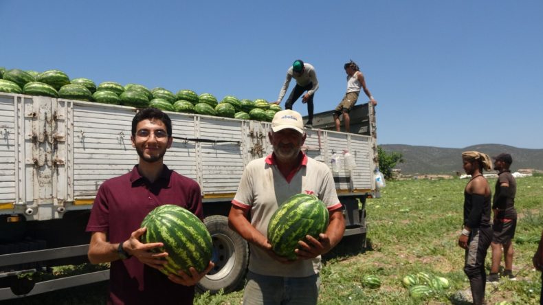 Tarlada 1 lira, markette 10 lira: "Aracı bizden daha çok fazla para kazanıyor"
