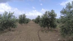 Tartışmalar Artıyor: Muğla'yı Sallayan Rapor