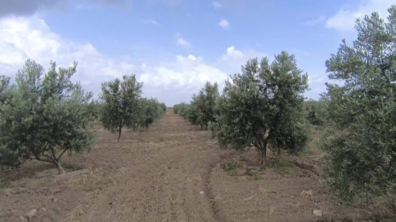Tartışmalar Artıyor: Muğla'yı Sallayan Rapor