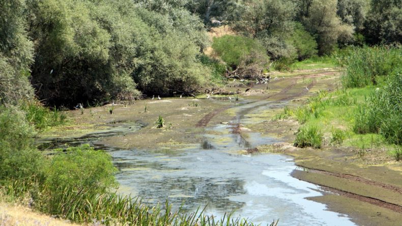 Tunca Nehri'nde Kuraklık Endişesi