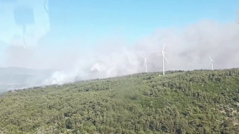 Urla'da Orman Yangını