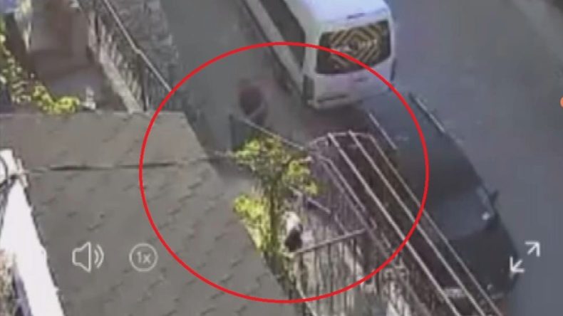 Vicdansızlığın zirvesi! Köpeği taş ve sopayla dövdü