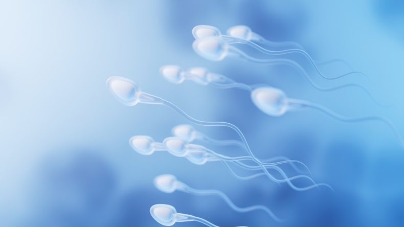 Yapay Zeka Sayesinde Hamilelik Müjdesi